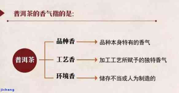 普洱茶香型的种类及其特点，如何选择适合自己的普洱茶？