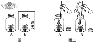 探究普洱茶回的奥秘：是制作过程还是其他因素影响？