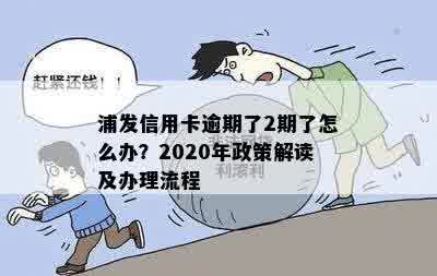 浦发信用卡修复逾期流程详解：2020年政策与XXXX新法规