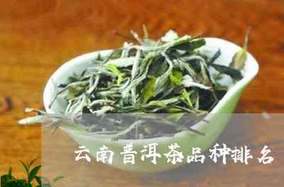 云南普洱茶品种名称：云南普洱茶有哪些种类？