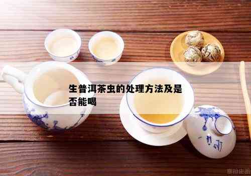 普洱茶生茶活菌含量的喝法，你知道吗？