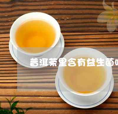 普洱茶生茶活菌含量的喝法，你知道吗？