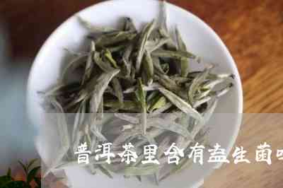 普洱茶生茶活菌含量多少