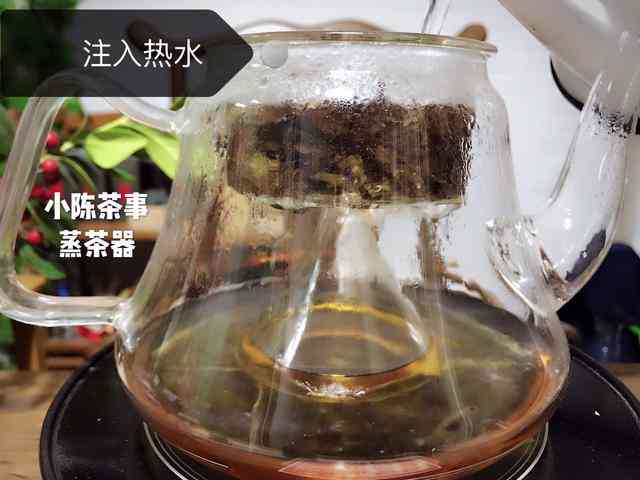 探讨熟普洱茶的烹饪方式：煮茶还是蒸茶更为合适？