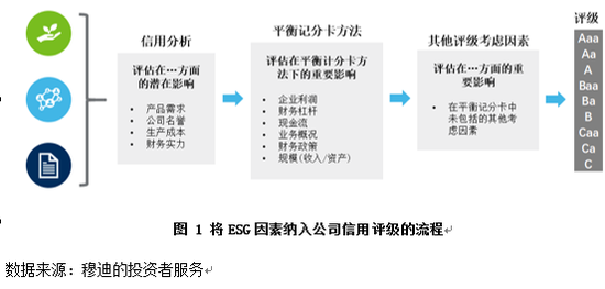 美团逾期还款对信用评级的潜在影响与应对策略