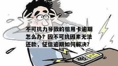 因不可抗力因素导致贷款逾期