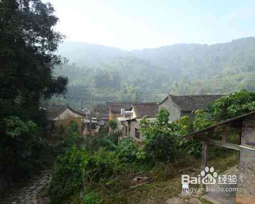 洱县普洱茶产地地址