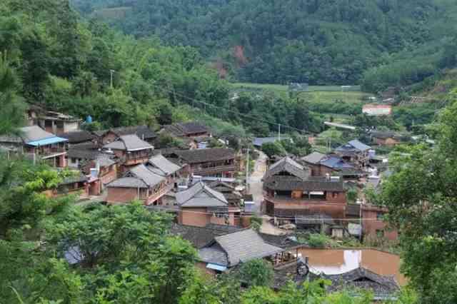 洱县普洱茶产地地址