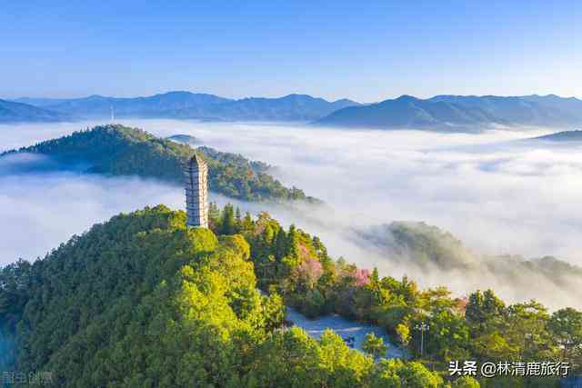 洱县普洱茶产地地址