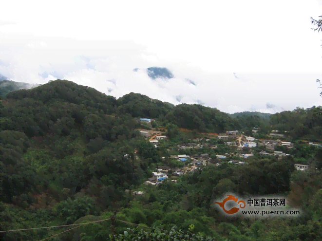 洱县普洱茶产地地址