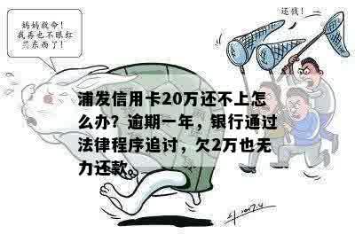 浦发信用卡欠款20万面临逾期困境，如何合法处理还款难题？