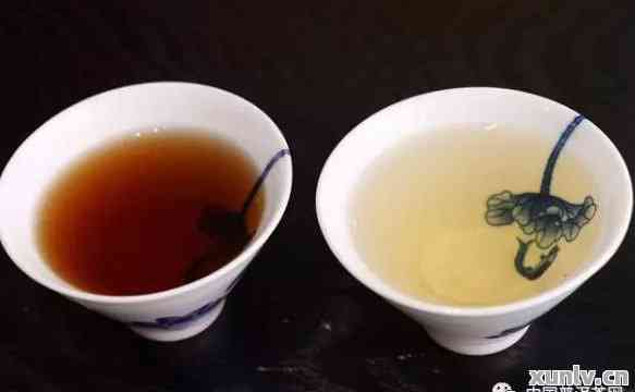 什么普洱茶用碗泡好：优质选择与使用技巧