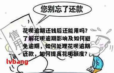 花呗逾期还款导致额度意外增加的原因和解决方法