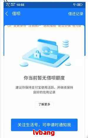 为什么过年借呗不能用了：原因与解决方法