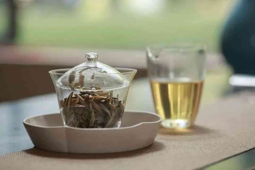 福鼎白茶与云南普洱茶：一场口感的宴，哪个更能打动你的味蕾？