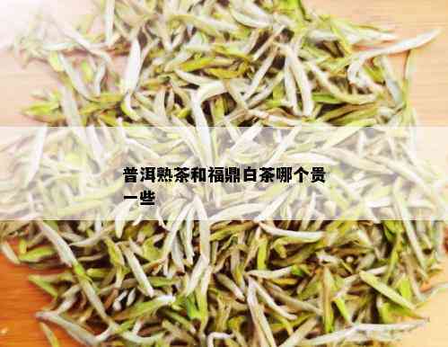 福鼎白茶与普洱茶对比