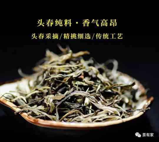 云南普洱茶之最：老曼峨茶区的苦味探究