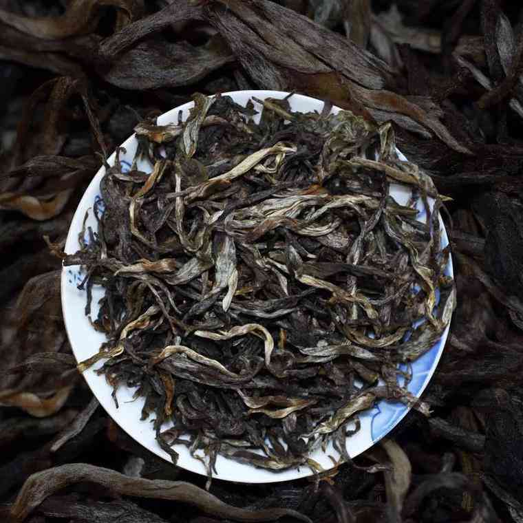 探究六堡茶与普洱茶：两种工艺背后的独特风味比较