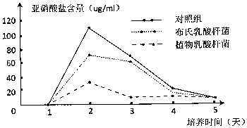 探究和田玉的光学特性：肉眼观察与灯光照明下的差异及其结构解析