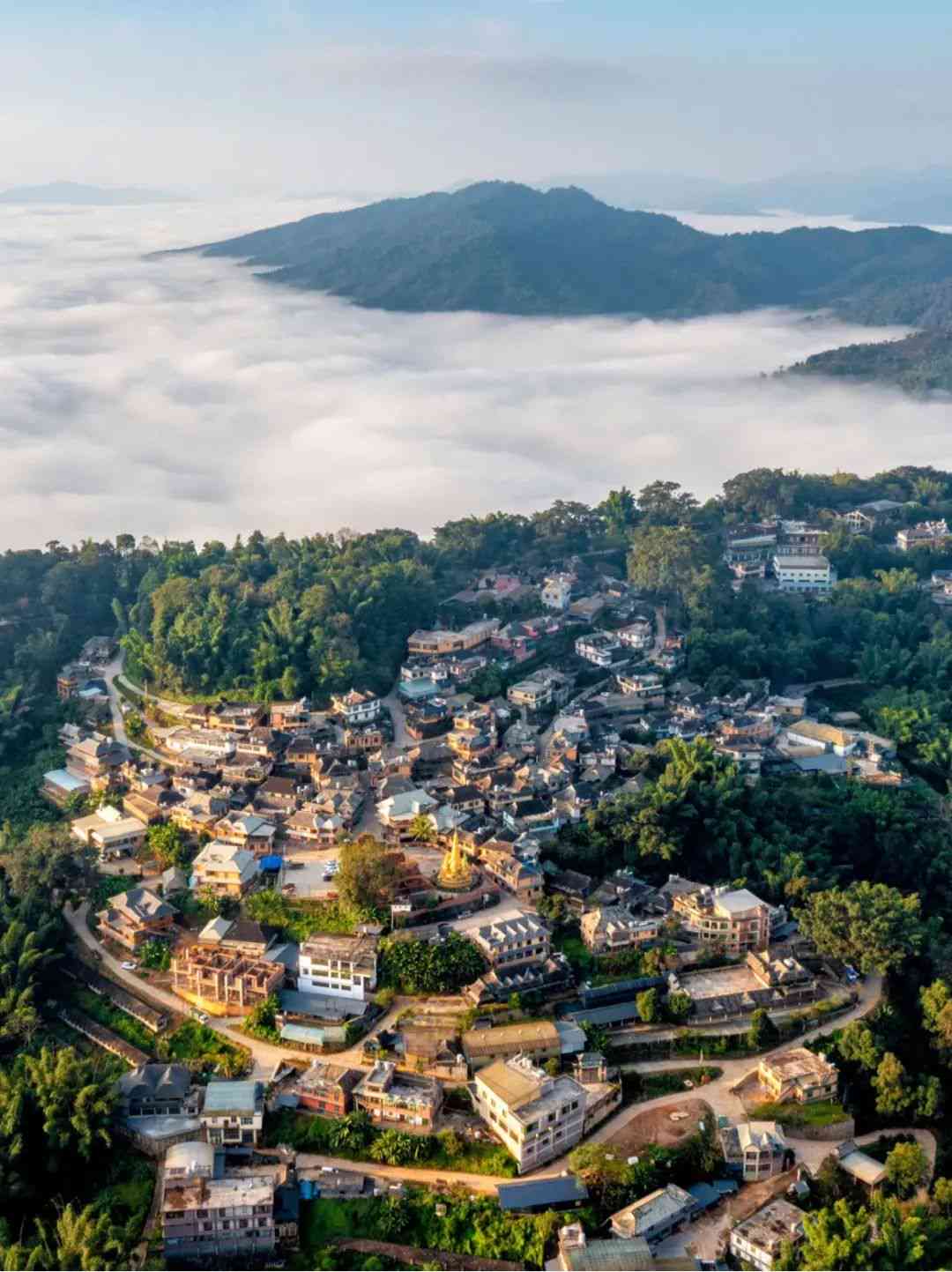 熟普洱茶结晶怎么处理