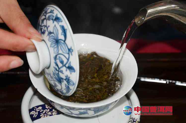 新普洱茶冲泡技巧之探讨：使用茶漏泡茶是否必要？