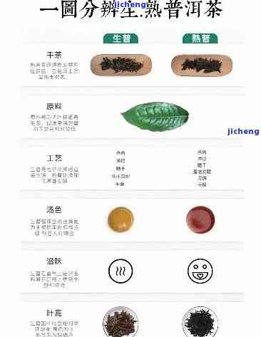 普洱茶不同等级有区别：探究茶叶等级差异