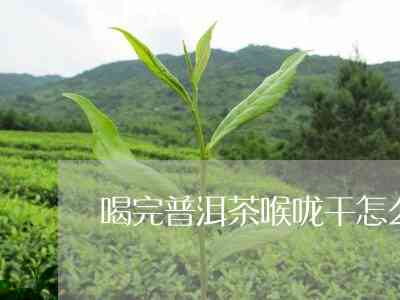 喝普洱茶后喉咙发干的原因及解决方法