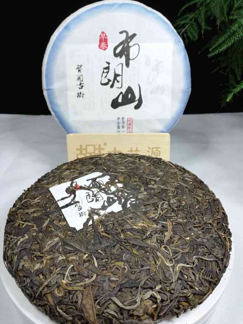 布朗山普洱茶生茶早春