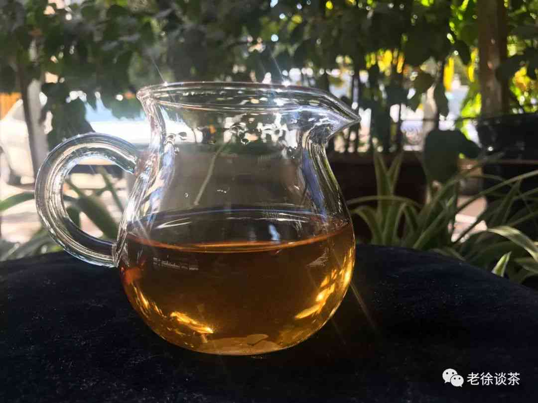 广东普洱茶哪里好一点