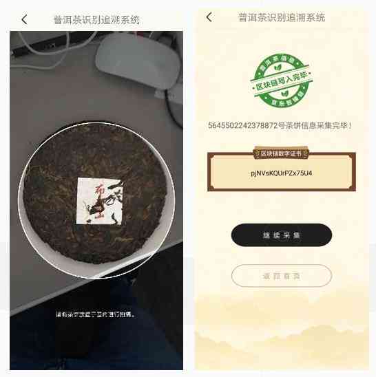 普洱茶品质追踪与保证体系：数字化平台助力区块溯源