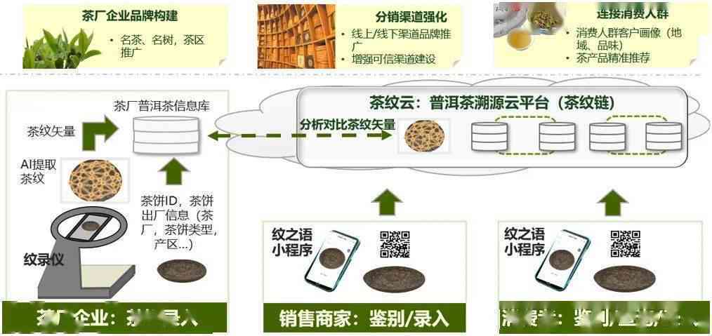 普洱茶品质追踪与保证体系：数字化平台助力区块溯源