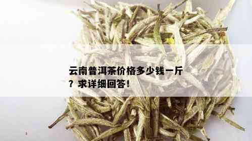 云南优质普洱茶批发价格：一斤多少钱？