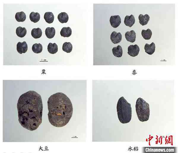 探究和田玉璜在齐家文化中的价值与零售价格