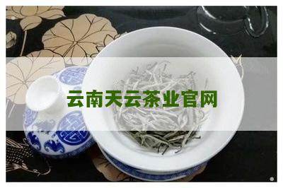 天云茶叶的茶怎么样？好喝吗？