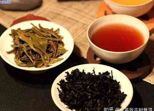 普洱茶散装选购：如何辨别生茶与熟茶？