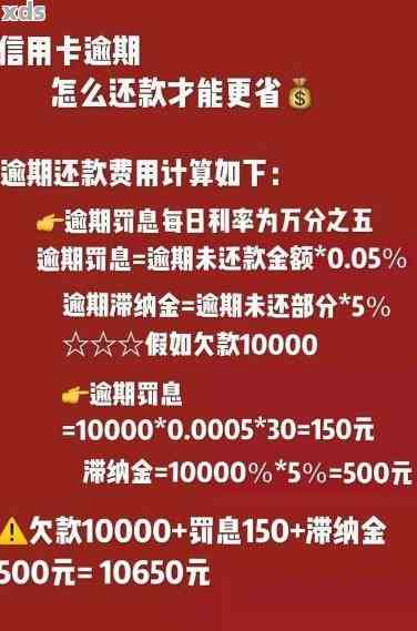 信用卡逾期后如何通过网贷解决资金问题：全面指南与实用建议