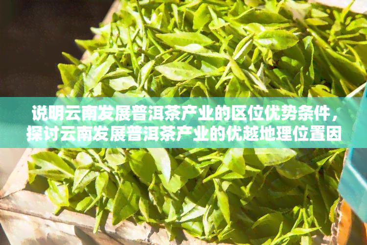 云南普洱茶发展的优势区位与挑战分析：地理环境，产业配套，市场条件