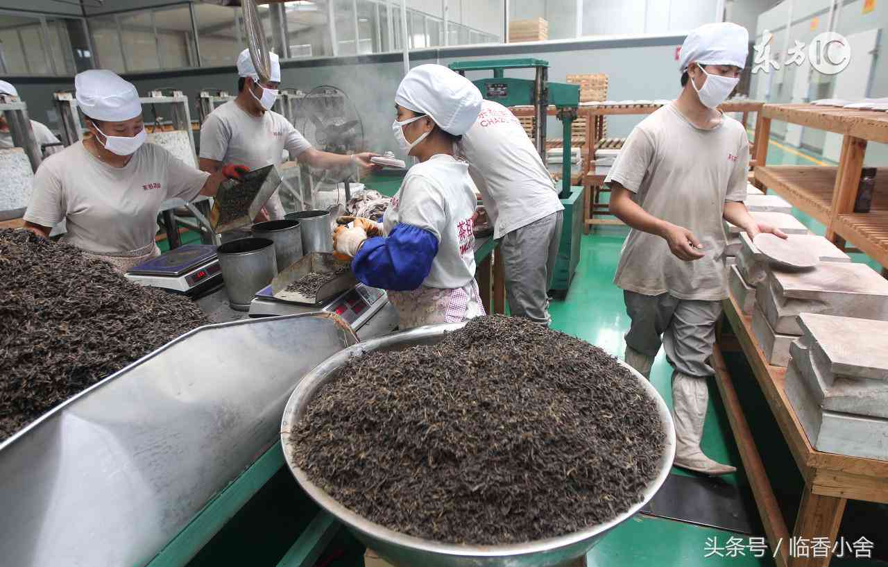 普洱茶饼一箱多少饼合适？ - 一箱普洱茶饼的数量和重量