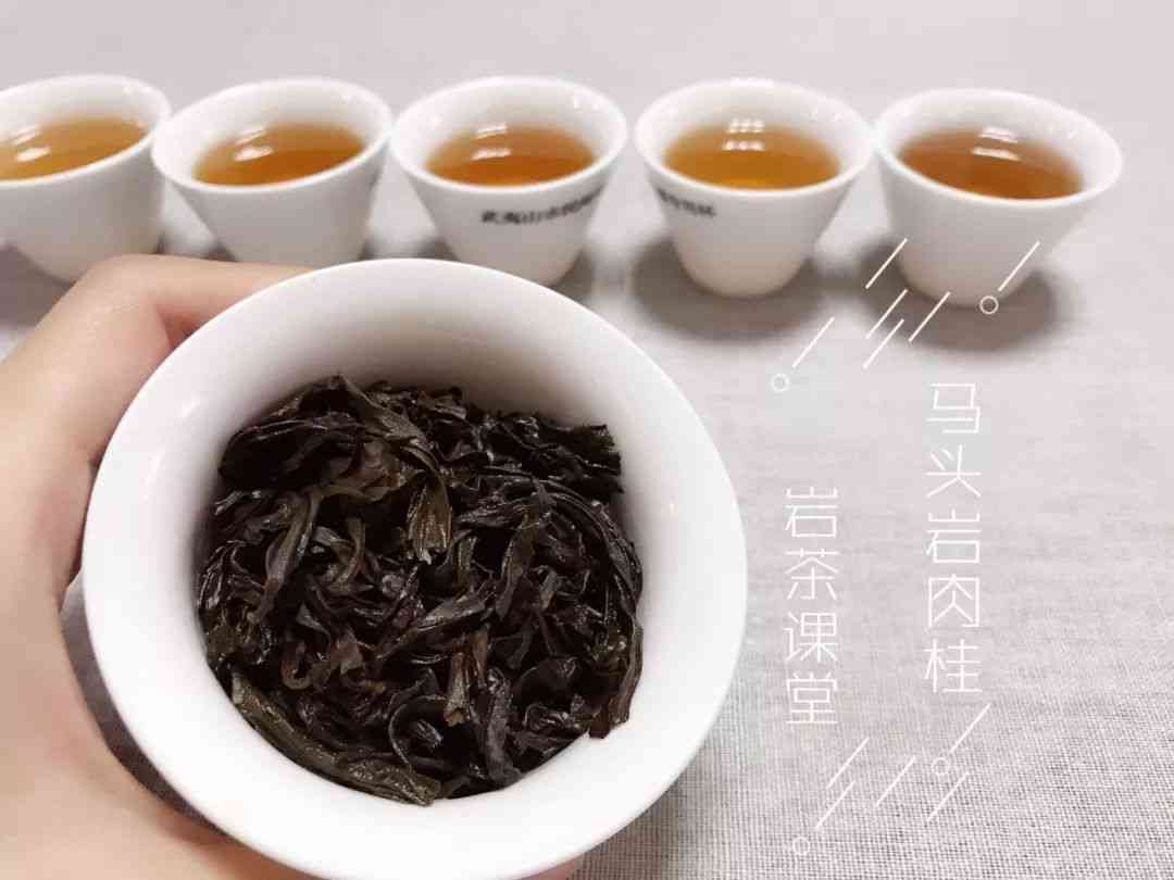 煮茶器怎么冲泡普洱茶水的步骤与技巧，让你轻松煮出好喝的普洱茶。