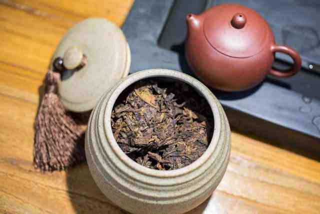 全面掌握煮茶器煮普洱茶的步骤与技巧，让你轻松泡出一杯好茶的方法大全