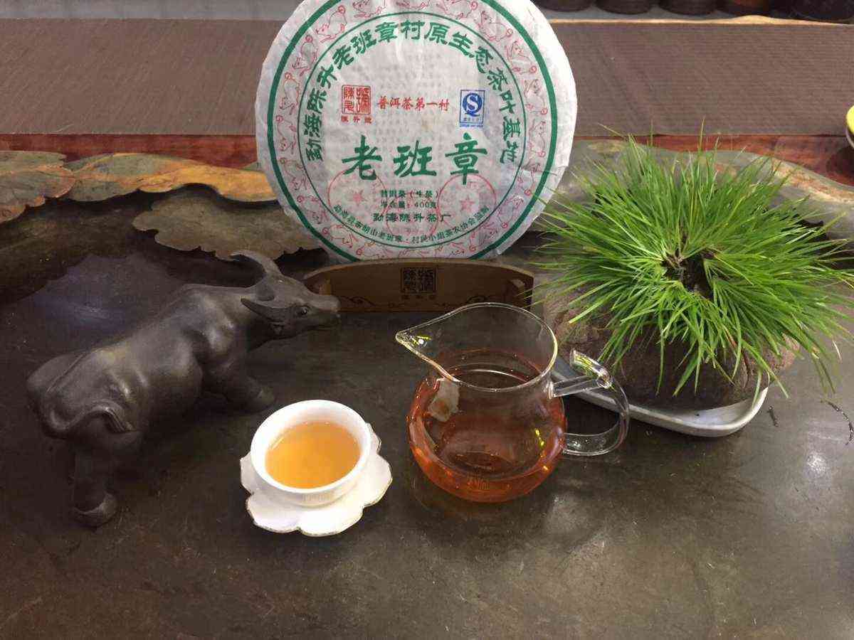 合适送礼的普洱茶品种