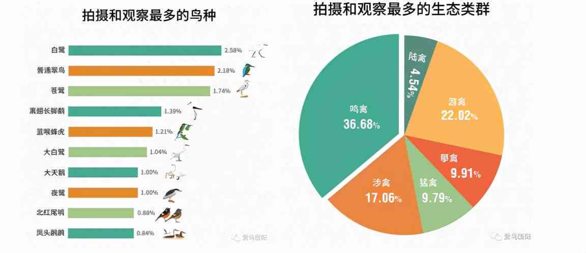 普洱茶对三高人群的潜在益处及其适用性：一个全面的探讨