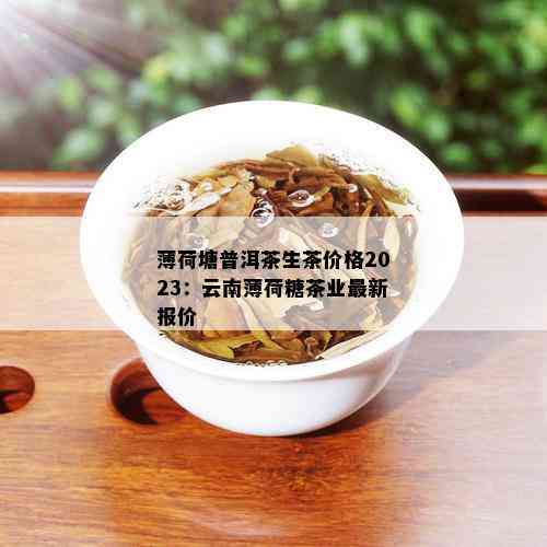 薄荷糖普洱茶价格表：探究普洱茶薄荷糖的由来与魅力