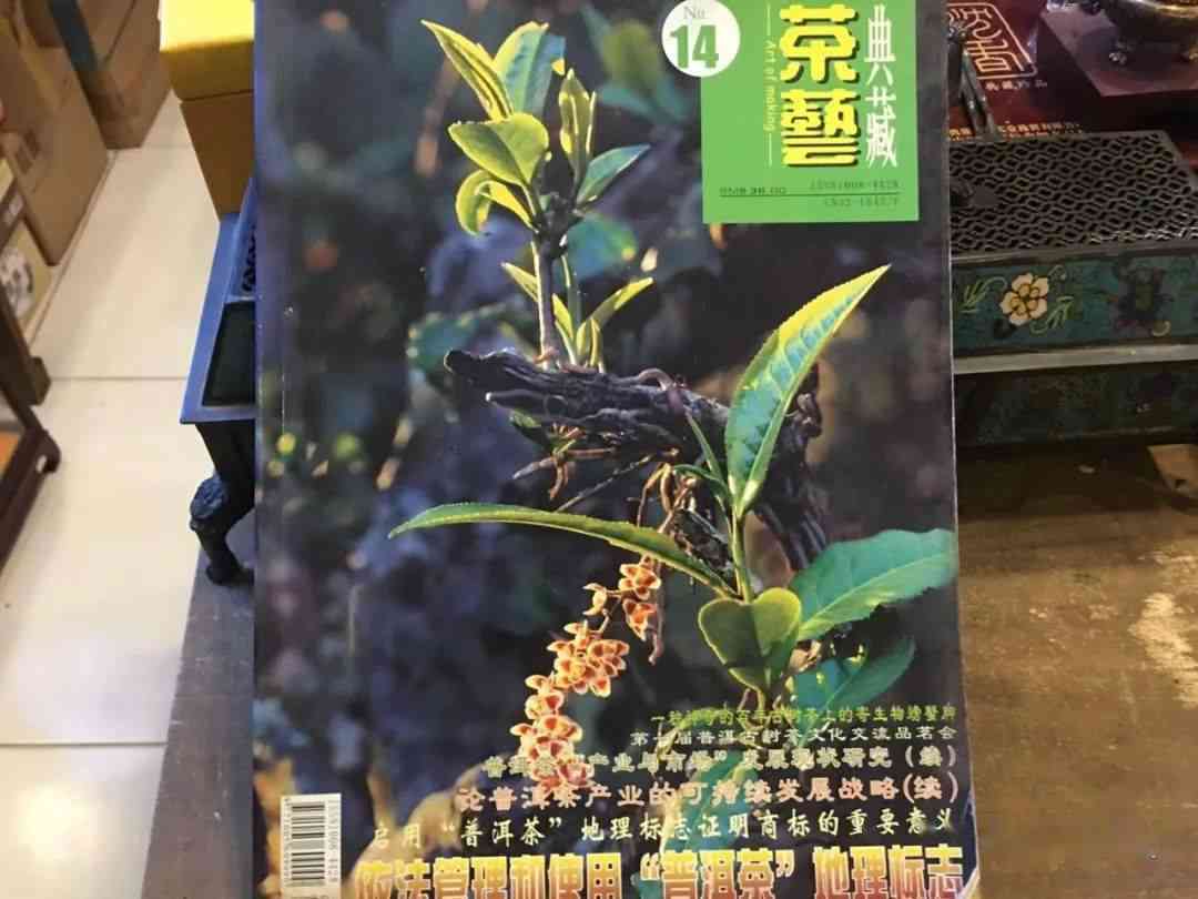 大观古树普洱茶价格表