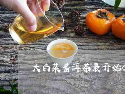 普洱茶与大白菜相结合的创新饮品价格及制作方法