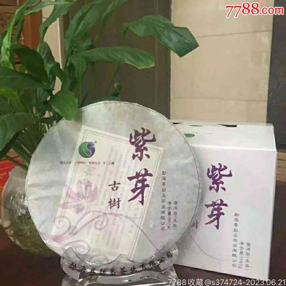 云南紫禅普洱茶价格表