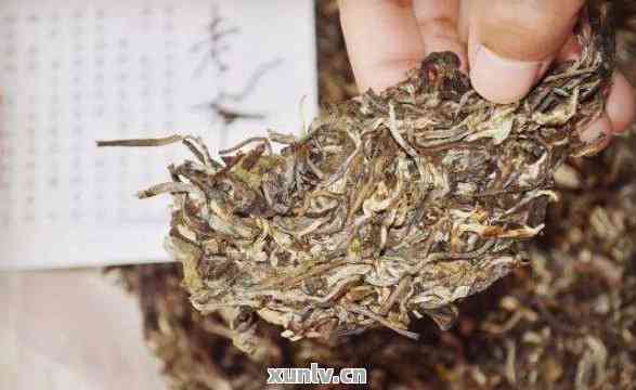 普洱茶发霉了怎么判断？如何识别普洱茶是否受潮？