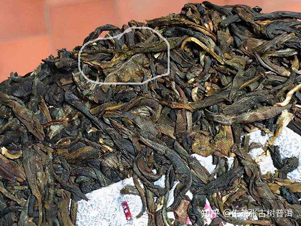 怎样分辨普洱茶坏没坏掉