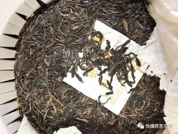 普洱茶单株茶：品种、特点与品鉴方法的全面解析，让你深入了解这一独特茶叶