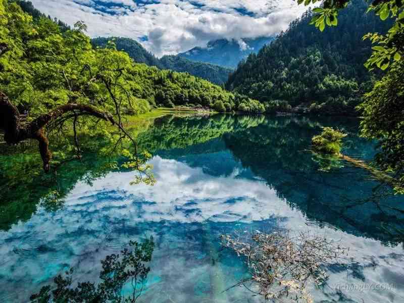 九寨沟旅游时买的和田玉是真的吗